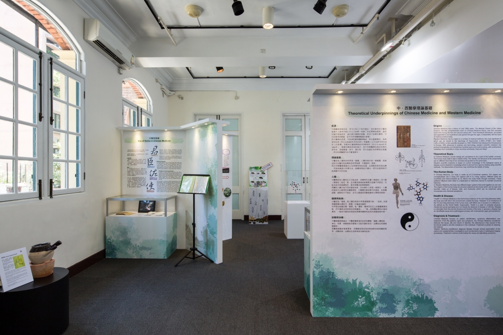 Lui Mac Minh Gallery